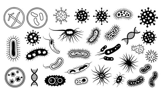 A collection of various bacteria and virus illustrations in a minimalist line art style on a white background