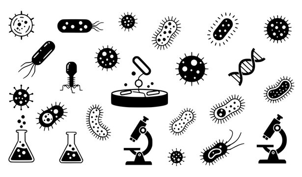 A black and white vector graphic illustration of various bacteria and viruses with microscopes and beakers on a white background representing microbiology and scientific research