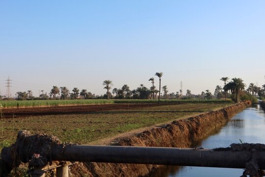 Beautiful water ponds amid greenery and agriculture in Bani Sweif in Egypt 