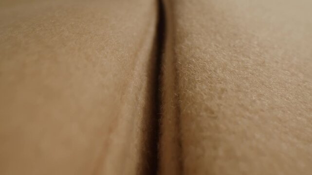 Light brown Beige wool coat background, natural sheepskin close-up macro coat. Top view