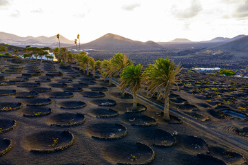 Obraz premium La Geria, Lanzarote, Canary Islands, Spain