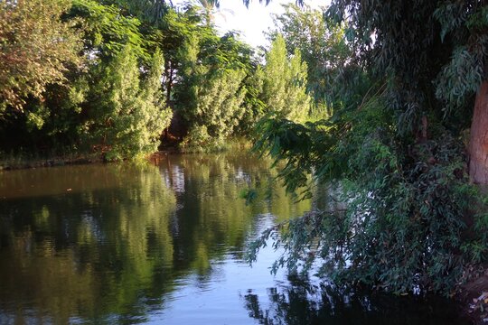 Beautiful water ponds amid greenery and agriculture in Bani Sweif in Egypt 