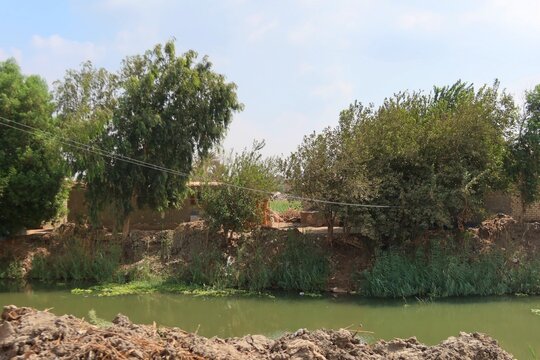 Beautiful water ponds amid greenery and agriculture in Bani Sweif in Egypt 