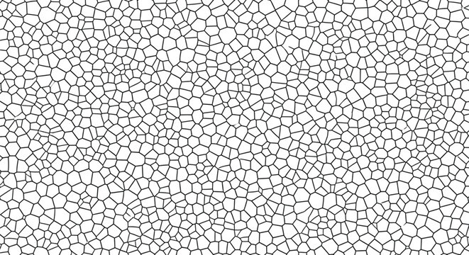 Black and white abstract geometric pattern featuring an intricate organic voronoi cell network