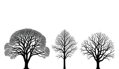 Fototapeta premium Three tree silhouettes with varying foliage density against a white background silhouette