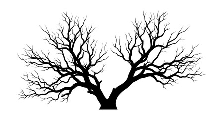 Fototapeta premium Bare tree branches reach out against a stark white background