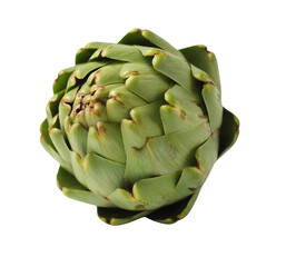 Obraz premium Artichoke with brown tips vegetable green fresh healthy isolated on a transparent background
