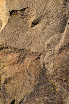 Weathered sandstone rock texture with layered erosion patterns and natural ripple lines detail