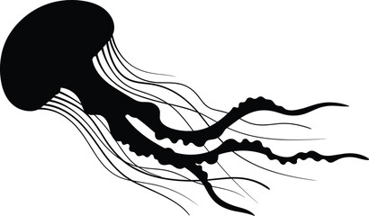 Black silhouette of a jellyfish with tentacles on white background © MstShapla