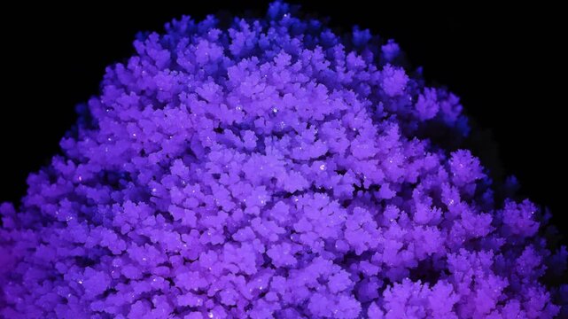 Turda, Romania A large crystalline stalagmite forms from dripping water in the Turda Salt Mine and is illuminated by colorful light. 