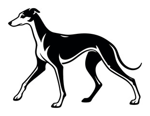 Fototapeta premium Greyhound dog exuding confidence, its black and white silhouette emphasized by bold lines that symbolize swiftness, grace, and devotion