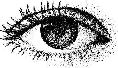 Obraz premium Expressive black and white stippled eye illustration with long lashes for background or poster design and anatomical study
