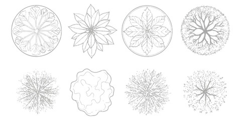 A collection of architectural top down tree symbols for landscape design and site planning projects Vector, illustration © md