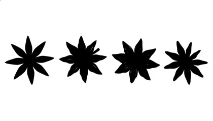 Obraz premium Star Anise Spice Vector Shape