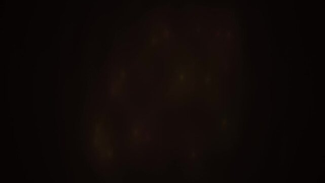 Close up of a dogs face.