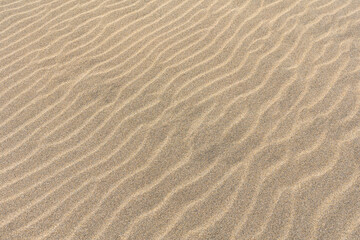 Fototapeta premium Wavy Sand Texture Background, Canary Island, Fuerteventura, wallpaper for your project