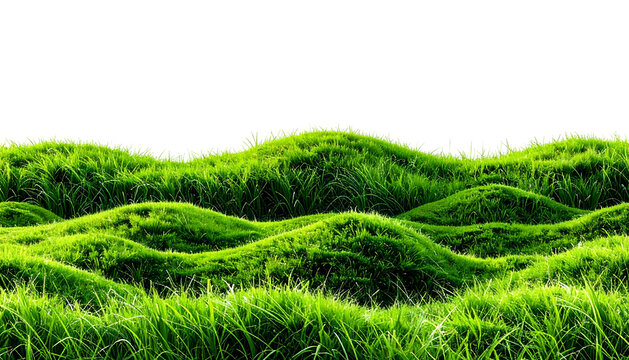 Lush green grassy hills on a transparent background, lit with soft, diffused light
