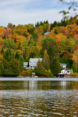 Fototapeta premium Cluster of white and gray cottages sits beneath dense autumn canopy overlooking Lake Superior 