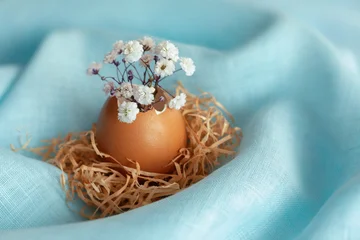 White flowers in eggshells on blue fabric. Easter home decoration. © smiltena