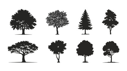 Fototapeta premium Black Tree Silhouette Collection – Vector Forest and Nature Icons