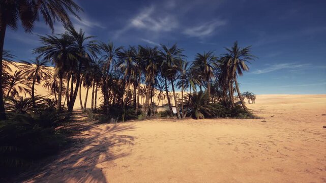 bright sunlit palms on open sand, highcontrast midday scene with long tree shadows, travel blogger envisioning remote resort escape, clear azure sky and warm