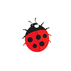 Obraz premium Ladybug Insect Illustration, Red and Black Colors Isolated. Bug Vector Design on White Background, Cartoon Cute Graphic Element for Kids Projects. Colorful Drawing Art Design.