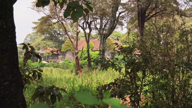 Nairobi, Kenya - 13th october, 2025: historic Giraffe Manor house nestled in a lush acacia forest in Nairobi, Kenya. Highlights iconic colonial architecture and sanctuary scenery