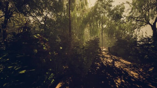 dappled sunlight across woodland walkway with scattered leaves and soft shadows, calm atmosphere perfect for quiet stroll or reflective pause