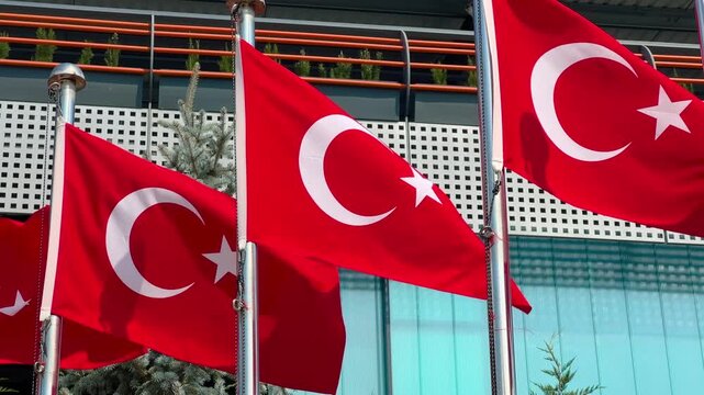Close up of Turkish national flag with white crescent and star waving in the wind on a metal pole in a public park in Istanbul, red fabric texture, national symbol and patriotism concept
