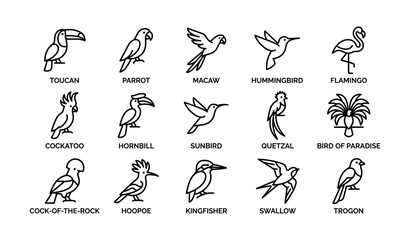 Obraz premium Outline icons of various bird species including toucan, parrot, and flamingo