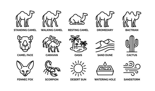 Desert icon set: camels, oasis, dunes, cactus, and wildlife symbols