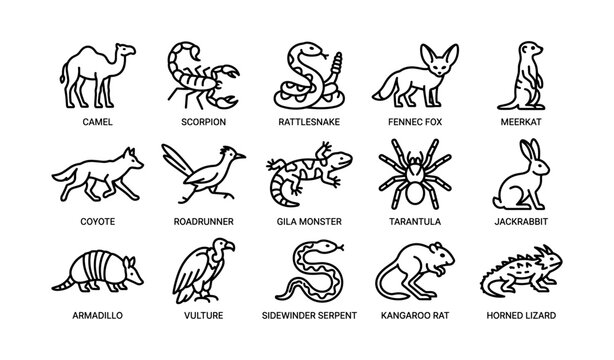 Wildlife icons: desert animals including camel, scorpion, rattlesnake, and more