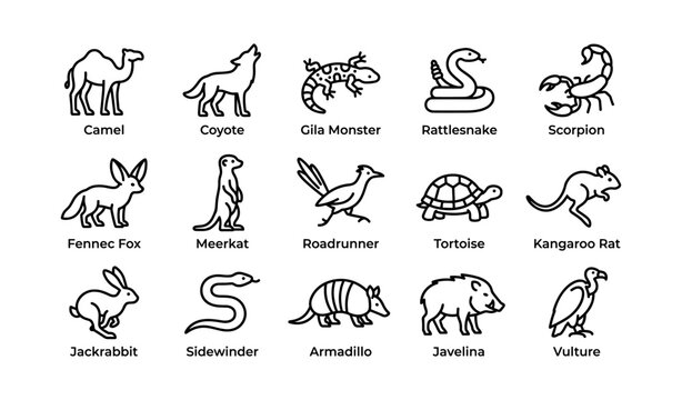 Desert animals icons set featuring camel, coyote, tortoise, and more