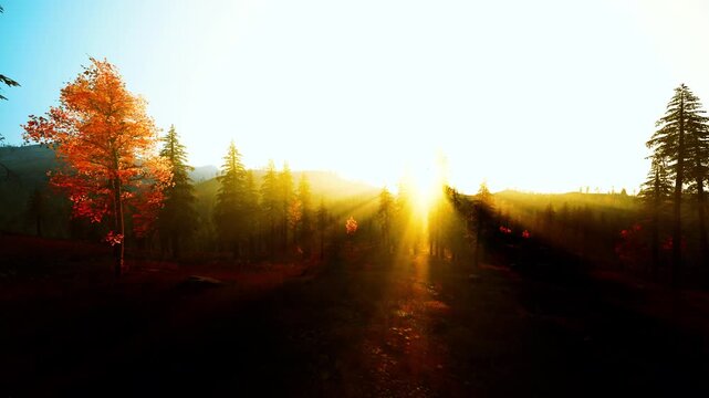 sunrise trail bathed in golden glow. radiant beams slice through trees, traveler strides across dewkissed meadow, runner silhouette stretches shadow
