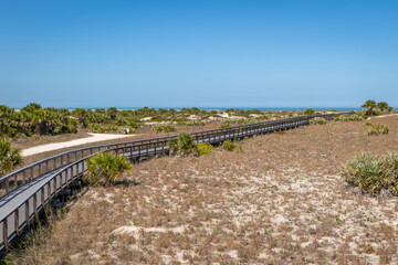 Fototapeta premium A boardwalk through a Florida coastal park