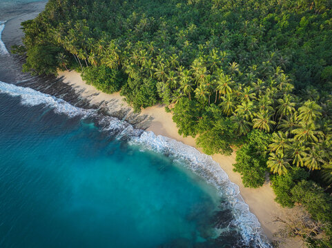 AERIAL: Wild tropical beach on Masokut Island bordered by dense palms and dark reef formations. Soft waves wash onto pale sand, creating a striking contrast with the crystal clear turquoise ocean.