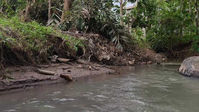 Natural river flowing through a forest environment with soft afternoon lighting, creating a calm and peaceful atmosphere.