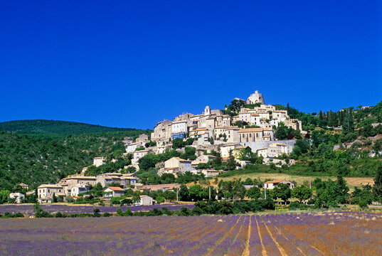 Lavender fields surround a village in Provence, showcasing the beauty of rural life in France during summer