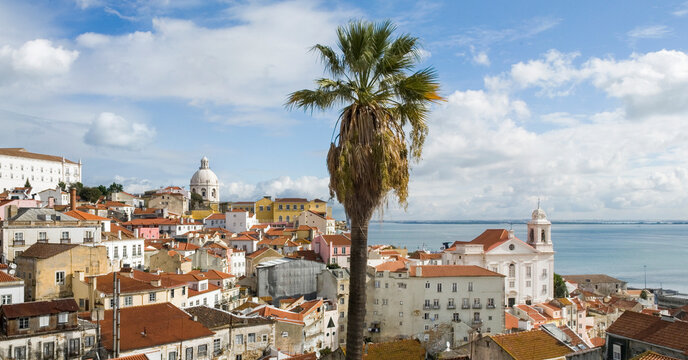 Overview of Alfama district showing rooftops, palm trees, and the river in Lisbon, Portugal during daylight hours