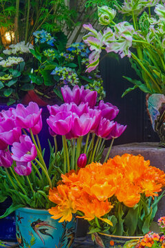 Colorful display of orange and pink tulips alongside flowers in a Paris setting