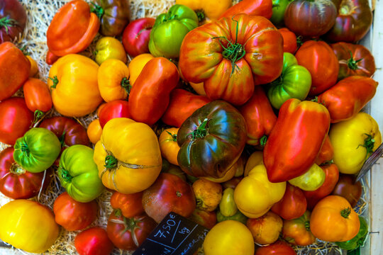Display of red, yellow, green and black tomatoes at a market in France during the harvest season