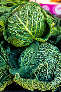 Fresh cabbages are displayed in a market for sale and show their green leaves in France for shoppers to choose from