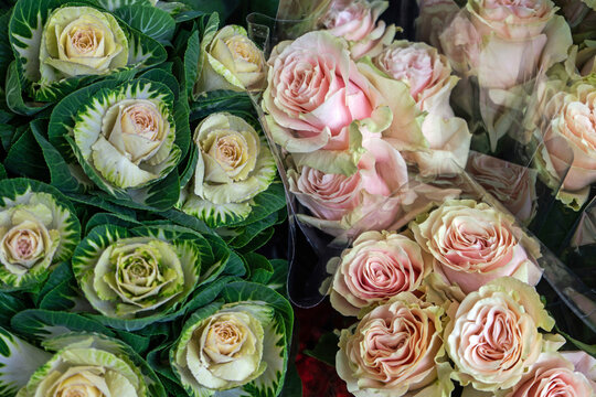 Pink roses and ornamental cabbages displayed together in a market setting in France during daylight hours