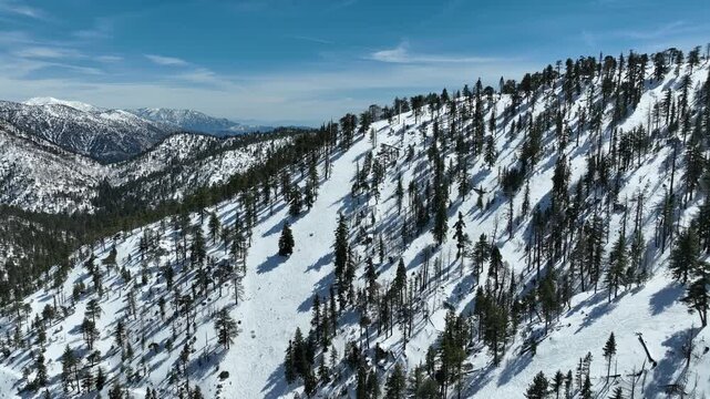 Mount Waterman Ski Trails Aerial Shot of Snow Forest Forward Reveal California USA