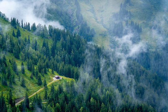 View of cabin surrounded by pine trees and clouds at 2000m altitude on a sunny day in Austria