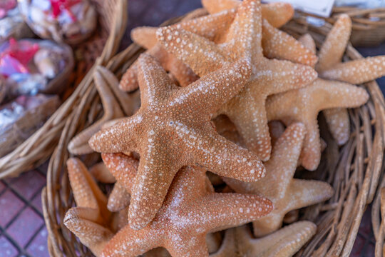 Souvenir star fish on display in a shop in Limenas Chersonisou, Crete, while visitors browse local crafts and mementos