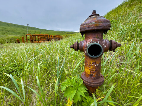 Rusted fire hydrant stands among tall grass on Great Sitkin Island near remnants of Sand Bay Naval Station in Alaska