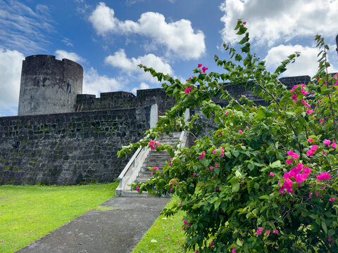 Fort Belgica stands on Banda Neira with flowers and blue sky visible in the background highlighting its historic structure