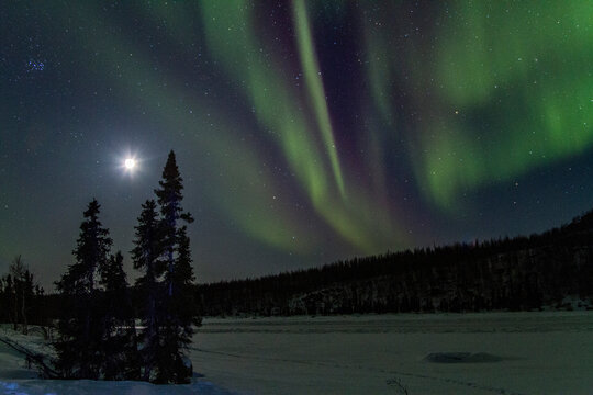 Bright colors dance across the night sky above the boreal forest and frozen lake in Northwest Territories, Canada