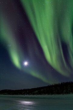 Northern lights display above boreal forest near Great Slave Lake in Northwest Territories Canada during nighttime